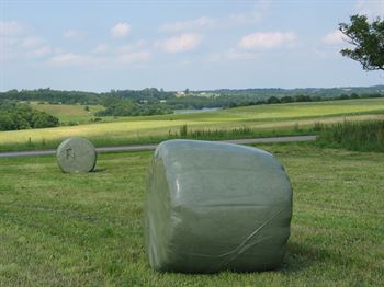 Heste Wrap & Hø, 10 kg